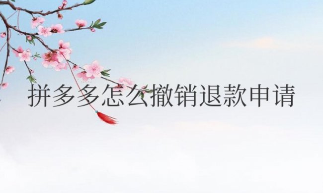 拼多多怎么撤销退款申请