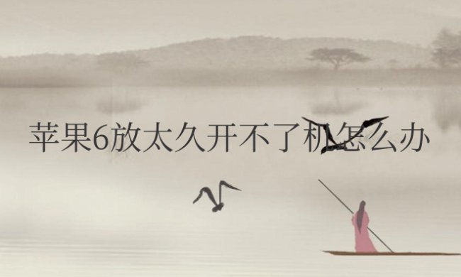 苹果6放太久开不了机怎么办