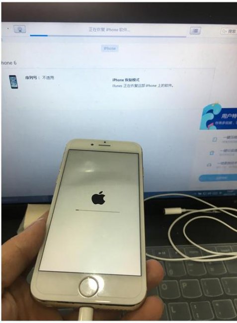 苹果6放太久开不了机怎么办