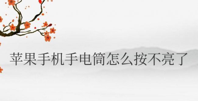 苹果手机手电筒怎么按不亮了怎么恢复