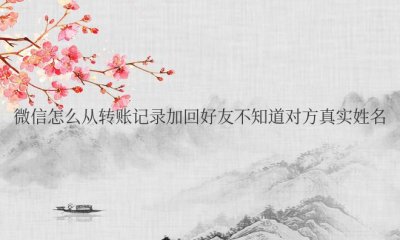 微信怎么从转账记录加回好友不知道对方真实姓名