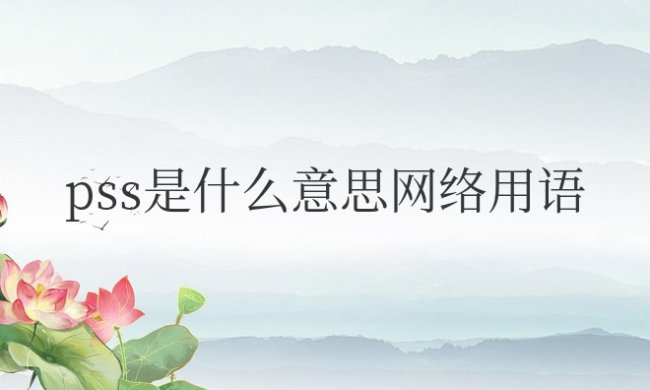 pss是什么意思网络用语
