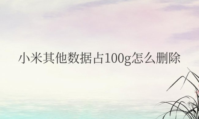 小米其他数据占100g怎么删除掉