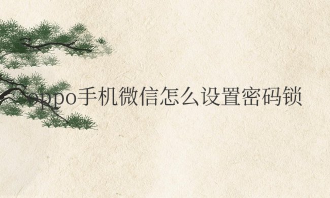 oppo手机微信怎么设置密码锁不让别人看
