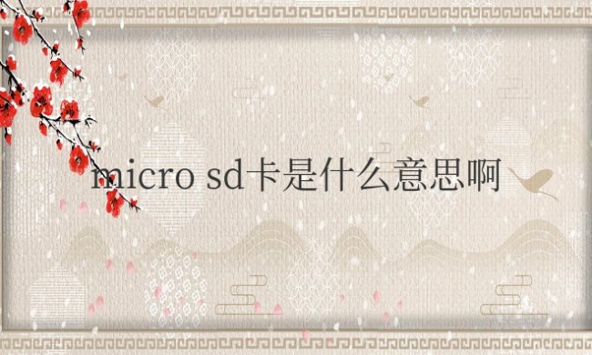 micro sd卡是什么意思啊