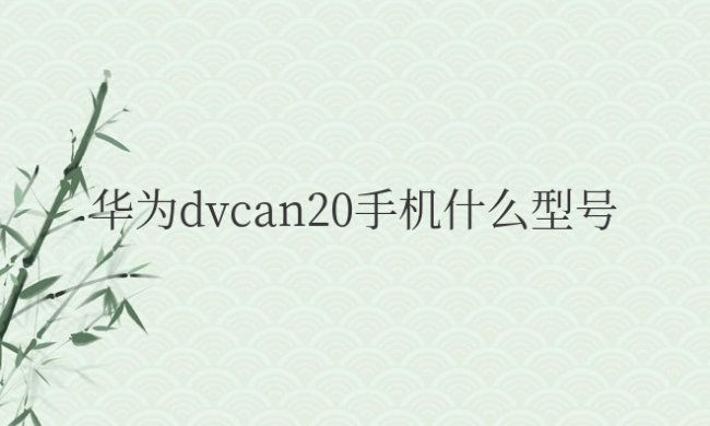 华为dvcan20手机什么型号