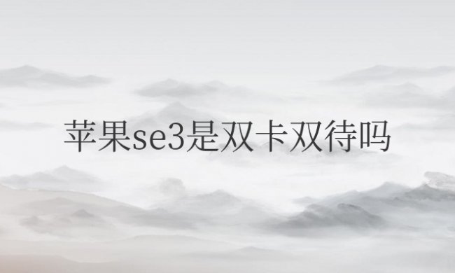 苹果se3是双卡双待吗怎么设置