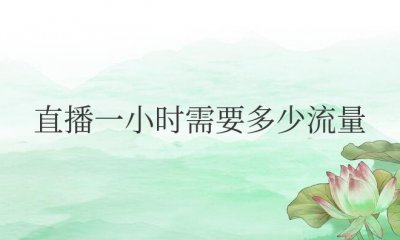 看手机直播一小时需要多少流量