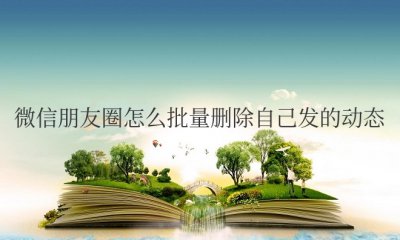 微信朋友圈怎么批量删除自己发的动态
