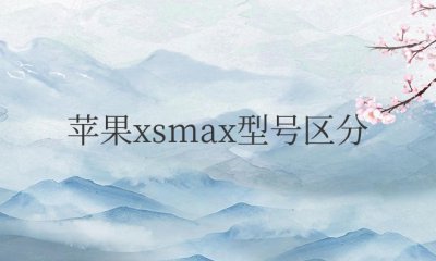 苹果xsmax型号区分