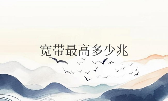 目前家用宽带最高多少兆