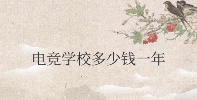 电竞学校多少钱一年