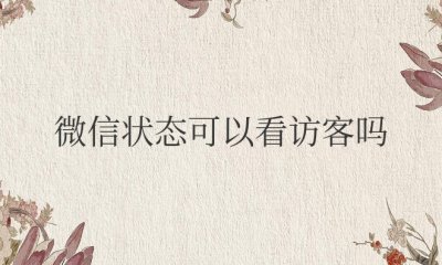 微信状态可以看访客吗
