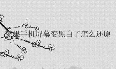苹果手机屏幕变黑白了怎么还原彩色