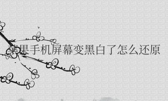苹果手机屏幕变黑白了怎么还原彩色