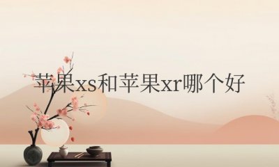 苹果xs和苹果xr哪个好一点？到底怎么选择？