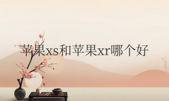 苹果xs和苹果xr哪个好一点?到底怎么选择?