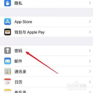 苹果钥匙串密码怎么看到