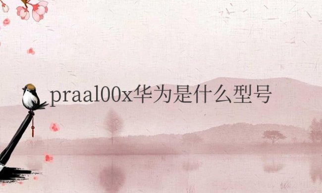 praal00x华为是什么型号