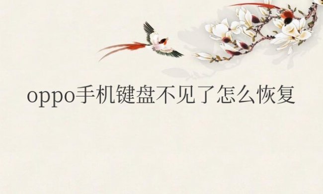 oppo手机键盘不见了怎么恢复正常