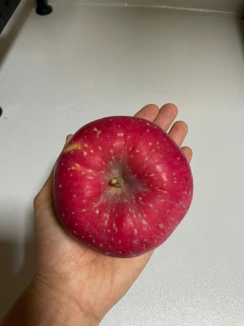 家庭苹果的最简单储存方法妙招