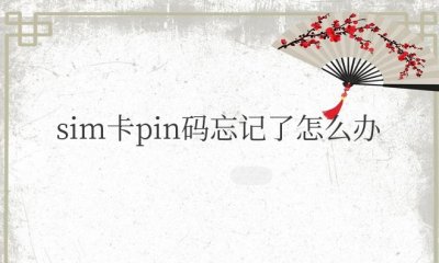 苹果手机sim卡pin码忘记了怎么办