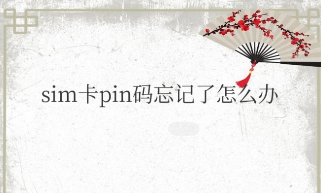 苹果手机sim卡pin码忘记了怎么办