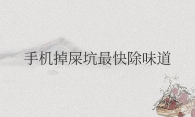 手机掉屎坑最快除味道