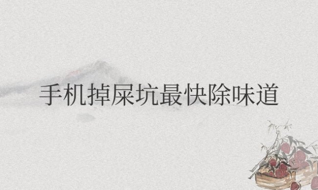 手机掉屎坑最快除味道