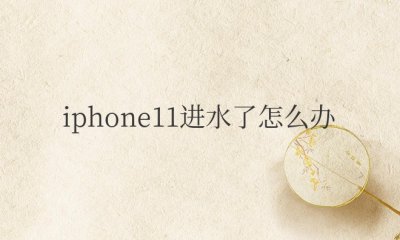 iphone11进水了怎么办 苹果11进水紧急处理措施