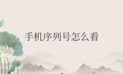 手机序列号怎么看出厂日期