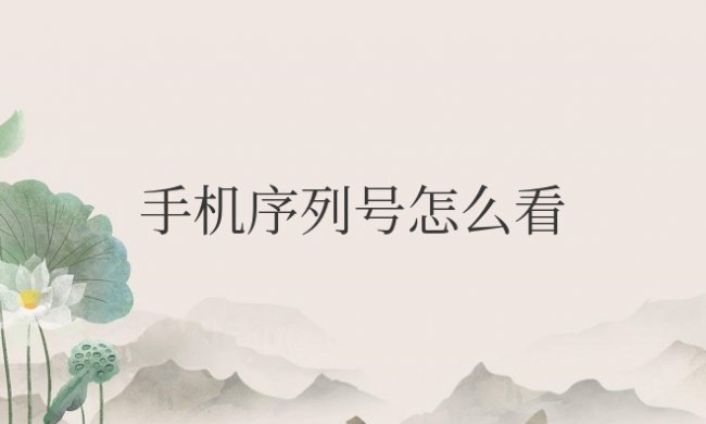 手机序列号怎么看出厂日期