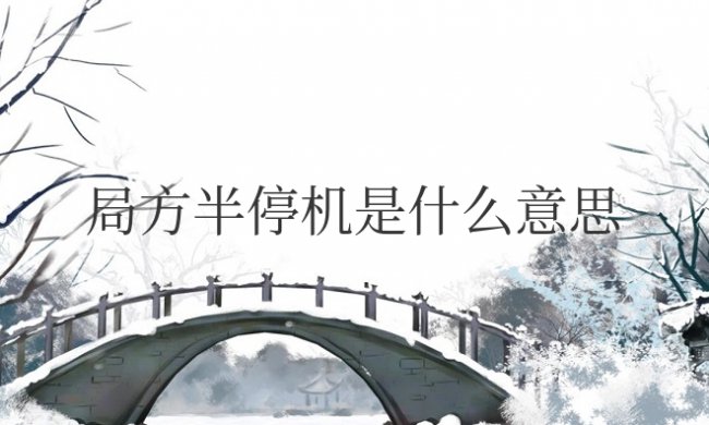 手机局方半停机是什么意思