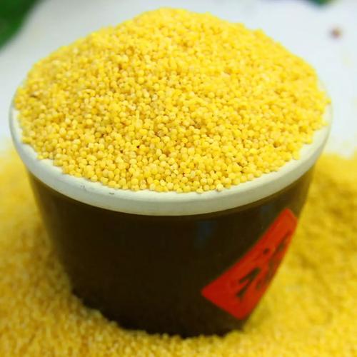 小米是粗粮还是细粮?高血糖的人可以吃吗?