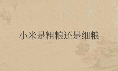 小米是粗粮还是细粮？高血糖的人可以吃吗？