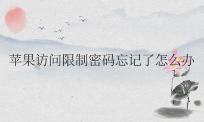 苹果访问限制密码忘记了怎么办