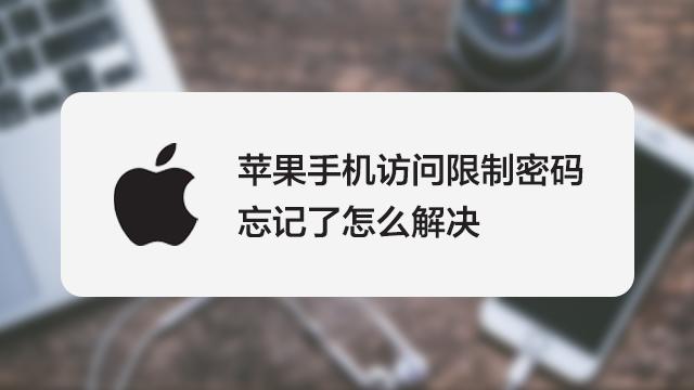 苹果访问限制密码忘记了怎么办