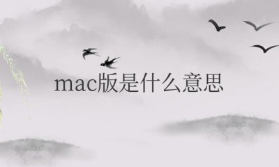 软件的mac版是什么意思