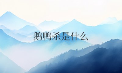 鹅鸭杀是什么平台的游戏
