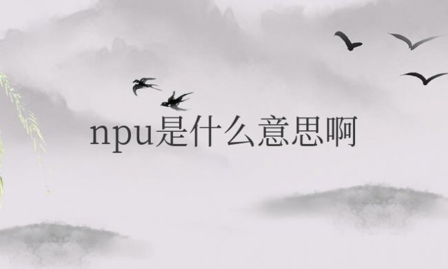 手机npu是什么意思