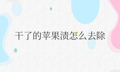 干了的苹果渍怎么去除 洗掉已干苹果渍的妙招
