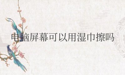 笔记本电脑屏幕可以用湿巾擦吗