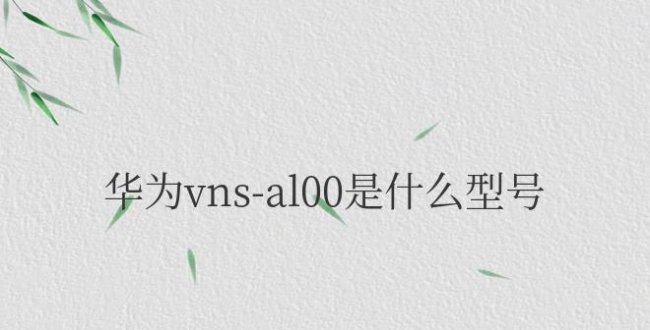 华为vnsal00是什么型号手机