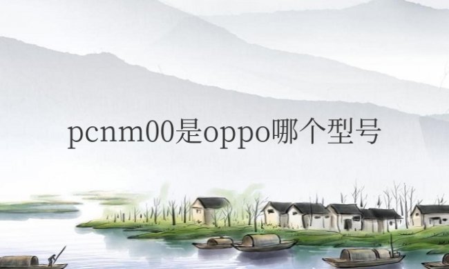 pcnm00是oppo哪个型号