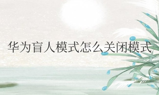 华为盲人模式怎么关闭模式快捷键