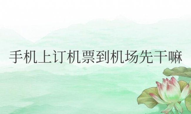 手机上订机票到机场先干嘛