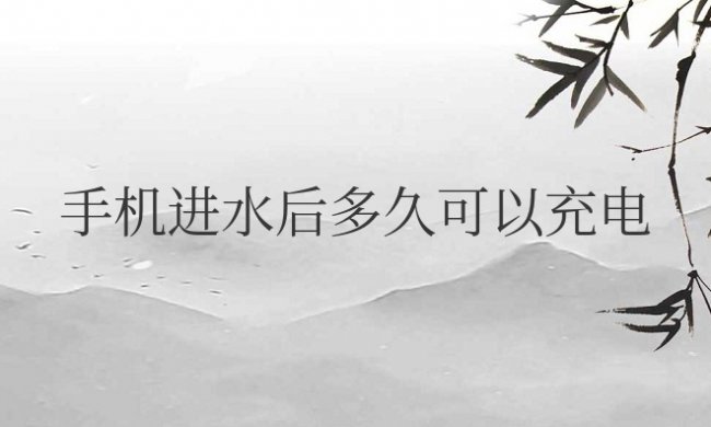 苹果手机进水后多久可以充电