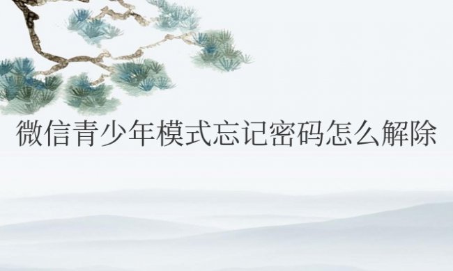 微信青少年模式忘记密码怎么解除