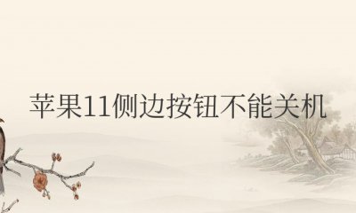苹果11侧边按钮不能关机怎么回事