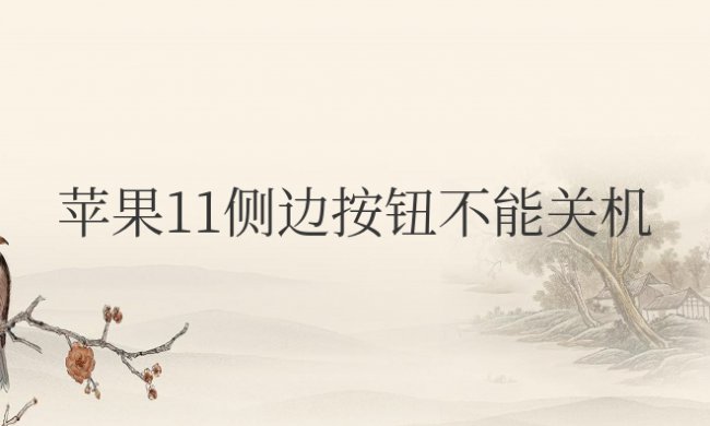苹果11侧边按钮不能关机怎么回事
